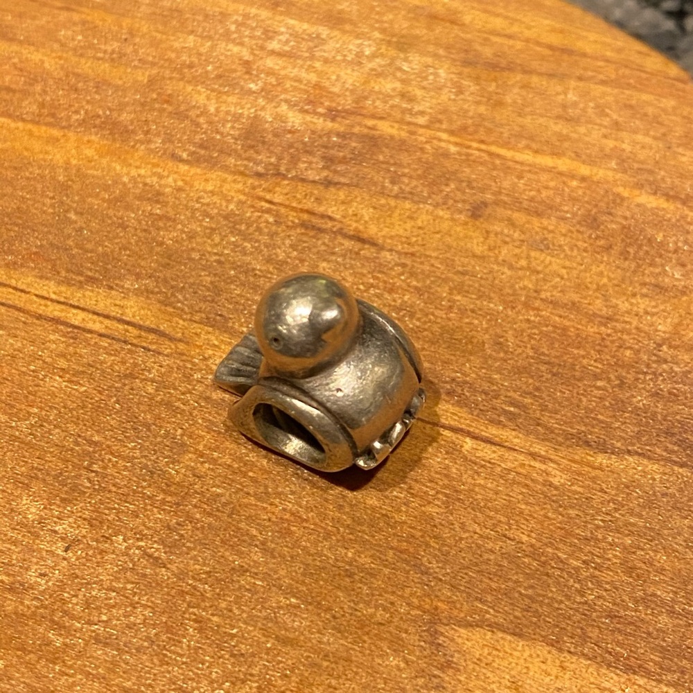 Retired bird charm